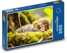 Schlafender Affe - Tier, Baum Puzzle 260 Teile - 41 x28,7 cm