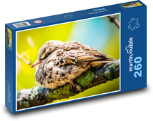 Bird - animal, beak Puzzle 260 pieces - 41 x 28.7 cm 