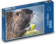 Nutrie - hlodavec, savec Puzzle 260 dílků - 41 x 28,7 cm
