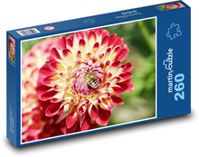 Květ jiřiny - rostlina, zahrada Puzzle 260 dílků - 41 x 28,7 cm