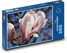 Květ magnólie - rostlina, jaro Puzzle 260 dílků - 41 x 28,7 cm
