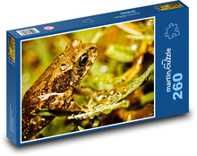 Frog - amphibian, animal Puzzle 260 pieces - 41 x 28.7 cm 