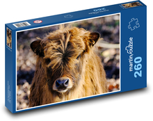 Vůl - zvíře, dobytek Puzzle 260 dílků - 41 x 28,7 cm