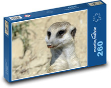 Surikata - zviera, zoologická záhrada Puzzle 260 dielikov - 41 x 28,7 cm 