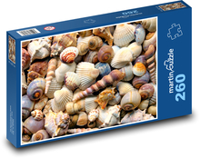 Ulity - mušle, moře  Puzzle 260 dílků - 41 x 28,7 cm