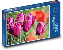 Růžový tulipán - květina, zahrada Puzzle 260 dílků - 41 x 28,7 cm