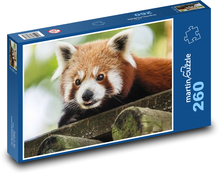 Panda červená - medvídek, zvíře Puzzle 260 dílků - 41 x 28,7 cm