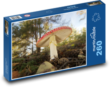 Red toad - forest, mushroom Puzzle 260 pieces - 41 x 28.7 cm 