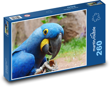 Modrý papoušek - pták, zvíře Puzzle 260 dílků - 41 x 28,7 cm