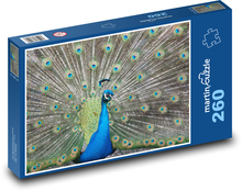 Paw - pióro, oślepiający ptak Puzzle 260 elementów - 41x28,7 cm
