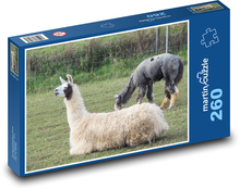 Lama - zvíře, pastvina Puzzle 260 dílků - 41 x 28,7 cm
