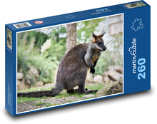 Klokan - zoo, vačnatec Puzzle 260 - 41x28,7 cm