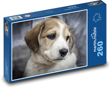 Štěně - mazlíček, pes Puzzle 260 - 41x28,7 cm