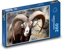 Koza - zvíře, rohy Puzzle 260 dílků - 41 x 28,7 cm