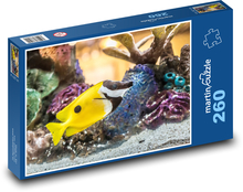 Ryby - koral, akwarium Puzzle 260 elementów - 41x28,7 cm