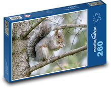 Wiewiórka na gałęzi - zwierzę, drzewo Puzzle 260 elementów - 41x28,7 cm