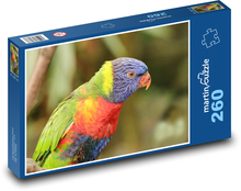Parrot  - bird, animal Puzzle 260 pieces - 41 x 28.7 cm 