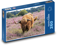 Cow - animal, cattle Puzzle 260 pieces - 41 x 28.7 cm 