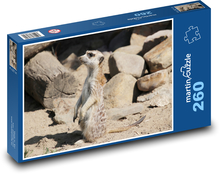 Surikata - animal, mammal Puzzle 260 pieces - 41 x 28.7 cm 