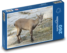 Capricorn - animal, mammal Puzzle 260 pieces - 41 x 28.7 cm