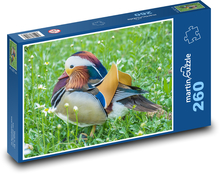 Mandarin duck - animal, bird Puzzle 260 pieces - 41 x 28.7 cm 