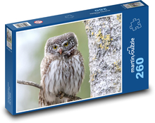 Eule auf einem Ast - Vogel, Tier Puzzle 260 Teile - 41 x28,7 cm