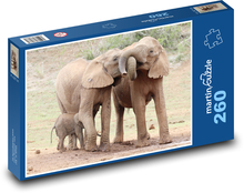 Sloni - slůně, Safari Puzzle 260 dílků - 41 x 28,7 cm