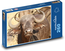 Bawół - Republika Południowej Afryki, zwierzę Puzzle 260 elementów - 41x28,7 cm