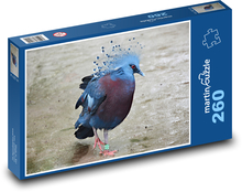 Vták - holub, zviera Puzzle 260 dielikov - 41 x 28,7 cm