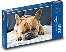 Französische Bulldogge - Hund, Haustier Puzzle 260 Teile - 41 x28,7 cm