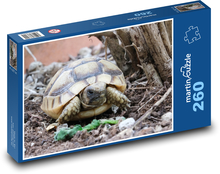 Schildkröte - Reptil, Tier Puzzle 260 Teile - 41 x28,7 cm
