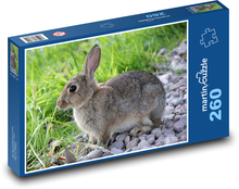 Králík - zvíře, srst Puzzle 260 dílků - 41 x 28,7 cm