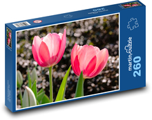 Červený tulipán - květ, květina Puzzle 260 dílků - 41 x 28,7 cm
