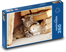 Mačiatko - mačiatko, domáce zviera Puzzle 260 dielikov - 41 x 28,7 cm 