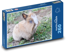Zwergkaninchen - Haustier, Tier Puzzle 260 Teile - 41 x28,7 cm