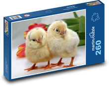 Kurczak - ptak, zwierzę Puzzle 260 elementów - 41x28,7 cm