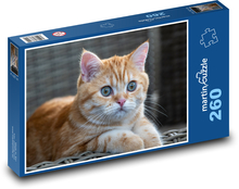 Cat - meal, animal Puzzle 260 pieces - 41 x 28.7 cm 