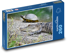 Alligator - Schildkröte, Reptil Puzzle 260 Teile - 41 x28,7 cm