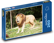 Lev - zvíře, král džungle Puzzle 260 dílků - 41 x 28,7 cm