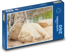 Polar bear - Alaska, mammal Puzzle 260 pieces - 41 x 28.7 cm 