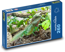 Leguan - Eidechse, Reptil Puzzle 260 Teile - 41 x28,7 cm