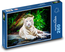 Biely tiger - zviera, zoo Puzzle 260 dielikov - 41 x 28,7 cm 