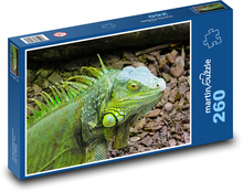 Green iguana - reptile, animal Puzzle 260 pieces - 41 x 28.7 cm 