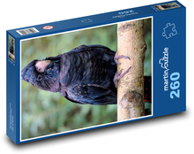 Kakadu černý - pták, zvíře Puzzle 260 dílků - 41 x 28,7 cm