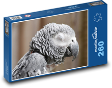 Papagáj sivý - vták, zviera Puzzle 260 dielikov - 41 x 28,7 cm 