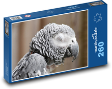 Grey parrot - bird, animal Puzzle 260 pieces - 41 x 28.7 cm 
