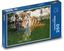 Tygr ve vodě - zvíře, savec Puzzle 260 dílků - 41 x 28,7 cm