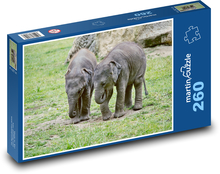 Slony - slony, mláďatá Puzzle 260 dielikov - 41 x 28,7 cm 