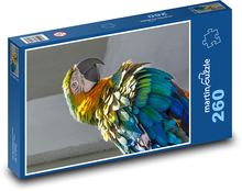 Papoušek - pták, zvíře Puzzle 260 dílků - 41 x 28,7 cm