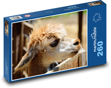 Alpaca - animal, zoo Puzzle 260 pieces - 41 x 28.7 cm 